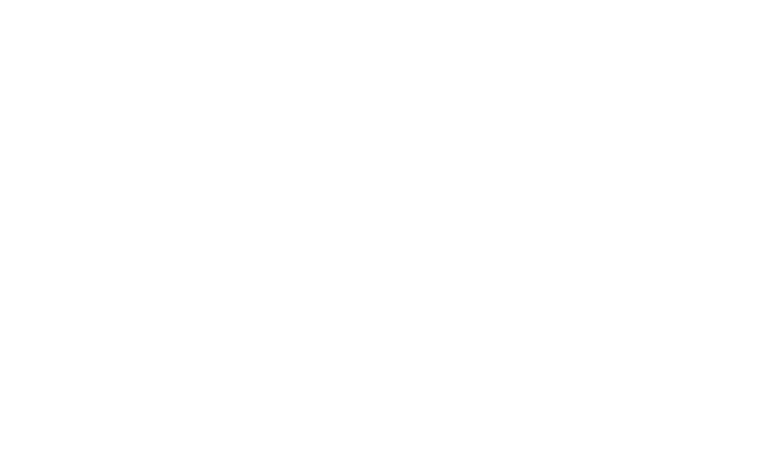 Logo Memorex